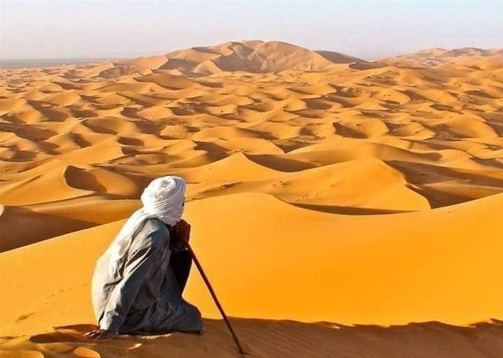Le désert avec  navette Tunisie  est enchanteur ,son air pur et ce qui augmente sa beauté, ce sont les dunes de sable qui ressemble à un berceau de soie doré et leur extension illimitée de sorte qu'en vous y promenant, votre esprit va vers le monde imaginaire de l'immensité et du calme de ce lieu .. Réserver dès maintenant pour vos prochain vacances avec navette Tunisie  Vous avez décidé de mettre le cap sur la Tunisie pour vos prochaines vacances ? Félicitations ! Vous vous apprêtez à découvrir un joyau méditerranéen où le soleil du Sud Tunisien brille de mille feux. Chez Nous, Votre Agence de Voyages Préférée, nous sommes là pour faire de votre séjour une expérience inoubliable. Choisissez la Destination de Vos Rêves Partir en vacances, c'est bien plus qu'un simple déplacement. C'est une aventure, une exploration, et surtout, une évasion. Que vous soyez tenté par les plages de sable fin de Djerba, les souks animés de Tunis, ou les paysages désertiques du Sahara, nous avons la destination parfaite pour vous. Notre mission est de transformer vos rêves de vacances en réalité. Séjours Personnalisés pour une Expérience Unique Chez Nous, Votre Agence de Voyages Préférée, nous comprenons que chaque voyageur est unique. C'est pourquoi nous proposons des séjours personnalisés qui correspondent à vos goûts et à vos besoins. Que vous soyez un amateur de culture, un passionné d'aventure, ou un adepte du farniente, nous avons le forfait idéal pour vous. Laissez-nous vous guider vers une expérience de voyage sur mesure. Des Hébergements de Charme pour un Repos Bien Mérité Après une journée bien remplie à explorer les merveilles de la Tunisie, rien de tel qu'un hébergement confortable pour se ressourcer. Nous avons sélectionné soigneusement une gamme d'hôtels et de resorts, allant du luxueux au pittoresque, pour vous offrir le meilleur de l'hospitalité tunisienne. Profitez de chambres élégantes, de piscines scintillantes et d'une cuisine locale délicieuse. Facilité de Réservation et Service Client Dévoué Chez Nous, Votre Agence de Voyages Préférée, nous croyons en la simplicité. Notre processus de réservation en ligne est rapide, facile et sécurisé. Pas de tracas, pas de soucis. Et si vous avez des questions ou besoin d'assistance, notre équipe de service client dévouée est toujours à votre disposition pour vous aider à chaque étape de votre voyage. Alors, prêt à réserver vos vacances en Tunisie et à vous immerger dans le soleil du Sud Tunisien ? Faites confiance à Nous, Votre Agence de Voyages Préférée, pour faire de votre escapade un moment magique.