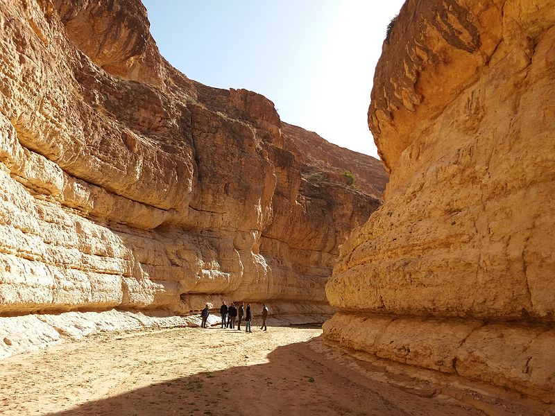 La Tunisie est un joyau caché de l'Afrique du Nord, offrant aux visiteurs une variété de paysages à couper le souffle. Parmi les trésors naturels les plus impressionnants se trouvent les Canyons de Mides et la majestueuse Grande Cascade de Chebika. Si vous cherchez à découvrir la splendeur de la nature tunisienne, vous êtes au bon endroit. À la Découverte des Canyons de Mides Les Canyons de Mides sont une merveille géologique située dans le nord-ouest de la Tunisie. Entourés par les montagnes de l'Atlas, ces canyons offrent des vues panoramiques à couper le souffle. Laissez-vous emporter par l'immensité des formations rocheuses qui ont été sculptées par le temps. Paysages à Couper le Souffle Les paysages des Canyons de Mides sont diversifiés, allant de vastes plaines désertiques aux formations rocheuses abruptes. Les couleurs changeantes du sable et des roches créent une palette visuelle unique qui émerveillera les amateurs de photographie et les amoureux de la nature. Activités Aventurières Pour les amateurs d'aventure, les Canyons de Mides offrent des possibilités infinies. De la randonnée à l'escalade, chaque coin de ce paysage offre une expérience unique. Les visiteurs peuvent explorer les gorges étroites et les vallées cachées, découvrant des coins inexplorés de la nature tunisienne. La Grande Cascade de Chebika : Émerveillement Aquatique À quelques pas des Canyons de Mides se trouve un autre trésor naturel : la Grande Cascade de Chebika. Nichée au cœur des montagnes, cette cascade majestueuse évoque un sentiment de tranquillité et de beauté naturelle. Spectacle Aquatique La Grande Cascade de Chebika offre un spectacle envoûtant avec ses eaux tumultueuses dévalant les rochers escarpés. L'arc-en-ciel de gouttes suspendues dans l'air crée une atmosphère magique, faisant de cet endroit un incontournable pour les amateurs de cascades. Oasis de Sérénité Les environs de la cascade abritent une oasis luxuriante, créant un contraste saisissant avec le désert environnant. Les visiteurs peuvent se détendre près de l'eau fraîche et profiter de la sérénité de cet endroit unique. Voyagez avec www.navettetunisie.net Pour tirer le meilleur parti de votre expérience aux Canyons de Mides et à la Grande Cascade de Chebika, planifiez votre voyage avec www.navettetunisie.net . Notre service de navette fiable et confortable vous emmènera en toute sécurité vers ces destinations exceptionnelles, vous permettant de vous concentrer pleinement sur la découverte de la beauté naturelle de la Tunisie. Explorez la Tunisie : Votre Aventure Commence Ici Ne manquez pas l'opportunité de découvrir les joyaux naturels des Canyons de Mides et de la Grande Cascade de Chebika en Tunisie. Plongez-vous dans l'aventure, imprégnez-vous de la beauté de la nature et créez des souvenirs durables. Réservez votre voyage dès maintenant avec www.navettetunisie.net et préparez-vous à une expérience inoubliable.