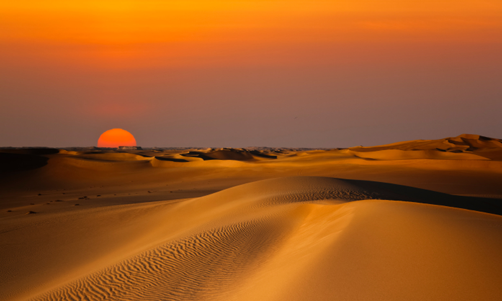 Le désert, ce vaste océan de sable qui s'étend à perte de vue, est bien plus qu'une étendue aride. C'est un théâtre naturel qui, chaque soir, nous offre un spectacle sans pareil : le coucher de soleil. Dans le Sud Tunisien, au cœur du Sahara, ce phénomène prend une dimension magique, transformant le paysage en une toile d'or et de pourpre. Chez www.navettetunisie.net , nous vous invitons à vivre cette expérience inoubliable. Un Spectacle Divin au Plein Sahara Des Couleurs qui Enchantent Imaginez un instant être témoin du soleil déclinant lentement à l'horizon, projetant des teintes de rouge, d'orange et de rose qui se mêlent aux nuances du sable doré. C'est un tableau vivant qui se peint sous vos yeux, une palette de couleurs qui éveille l'âme et émerveille le cœur. Le coucher de soleil au plein Sahara, c'est une symphonie visuelle qui réchauffe l'esprit. La Quiétude du Désert Une Pause Hors du Temps Alors que le soleil s'apprête à disparaître derrière les dunes, le désert se pare d'une quiétude presque sacrée. L'air devient plus doux, le silence plus profond. C'est le moment idéal pour une pause, une pause hors du temps, pour contempler la grandeur de la nature et se laisser emporter par la sérénité du désert. Une Aventure au Plus Près de la Nature Une Exploration au Crépuscule Chez www.navettetunisie.net , nous croyons en l'immersion totale dans la nature. C'est pourquoi notre offre d'excursion au coucher du soleil dans le plein Sahara vous permet d'explorer les dunes au crépuscule. Le sable sous vos pieds, le vent caressant votre visage, l'expérience devient sensorielle, connectant votre être à la terre. Réservez votre place pour l'émerveillement www.navettetunisie.net vous offre la chance de vivre cette expérience unique. Réservez votre place dès maintenant et rejoignez-nous pour une aventure qui va au-delà des mots, une aventure où chaque coucher de soleil devient une histoire à raconter. Quand la Nature Devient un Poème Au plein Sahara, le coucher de soleil est bien plus qu'une fin de journée. C'est un poème que la nature écrit chaque soir, une ode à la beauté éphémère. Chez www.navettetunisie.net , nous vous invitons à faire partie de cette poésie, à la vivre pleinement, et à emporter avec vous le souvenir d'une expérience exceptionnelle.