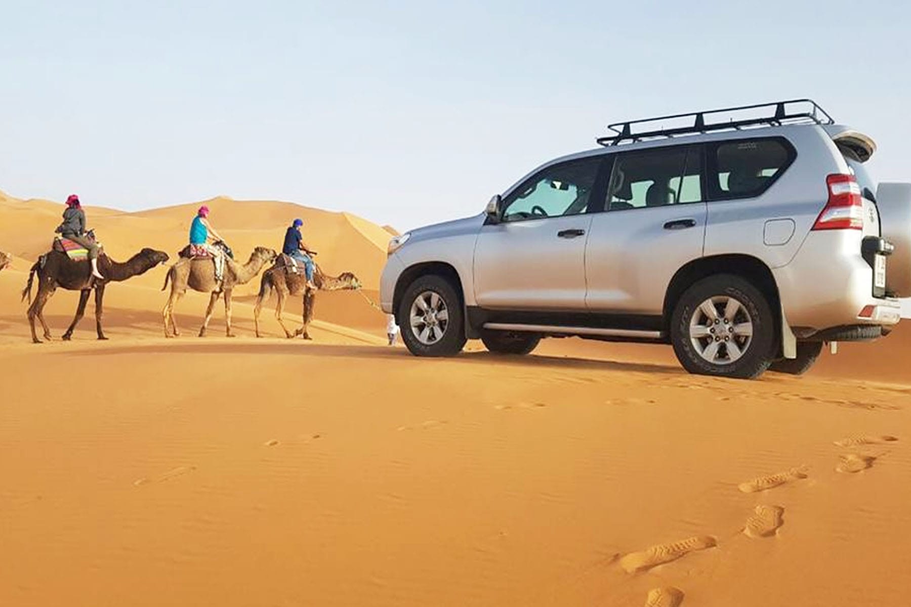 Le sud du Sahara tunisien, une étendue de sable infini, offre bien plus qu'un simple voyage ; c'est une immersion dans l'âme du désert. Chez www.navettetunisie.net , nous vous invitons à découvrir le charme authentique du sud tunisien à travers notre tour unique en chameau et en voiture 4x4. Une Danse avec les Dunes : Tour en Chameau Le Chameau, Compagnon de Voyage Imaginez-vous vous équilibrer doucement sur le dos d'un chameau, votre fidèle compagnon de voyage dans le désert. Les vagues de sable s'étendent à perte de vue, et chaque pas du chameau résonne avec la poésie du Sahara. C'est une expérience sensorielle, un voyage dans le temps où le rythme lent du chameau vous permet de vous connecter profondément avec le paysage. Les Secrets des Nomades Nos guides, des nomades du désert, partageront avec vous des histoires ancestrales, des traditions transmises de génération en génération. Vous ne serez pas simplement un spectateur, mais un participant actif dans cette aventure culturelle. Vivez le désert à travers les yeux de ceux qui l'appellent leur maison. Conquérir l'Inexploré : Balade en Voiture 4x4 La Puissance du 4x4 dans le Sahara Pour les amateurs d'adrénaline et d'aventure, notre tour en voiture 4x4 offre une expérience palpitante. Les dunes ne sont plus des obstacles, mais des terrains de jeu. Nos conducteurs experts vous emmèneront là où les routes conventionnelles s'arrêtent, offrant une vue imprenable sur les horizons sans fin du Sahara. Flexibilité et Confort Laissez vous derrière les itinéraires rigides. Avec notre balade en voiture 4x4, vous avez la flexibilité d'explorer les coins les plus reculés du désert. Le confort de nos véhicules garantit que votre aventure est aussi agréable que passionnante. Réservez Votre Expérience Inoubliable Embarquez avec www.navettetunisie.net pour un voyage qui transcende les frontières du conventionnel. Réservez votre visite en chameau et en voiture 4x4 dès aujourd'hui et préparez-vous à une aventure qui restera gravée dans votre mémoire. www.navettetunisie.net , Votre Portail vers l'Inoubliable Chez Navette Tunisie, nous vous offrons plus qu'un simple voyage ; nous vous invitons à une expérience. Notre tour en chameau et en voiture 4x4 dans le Sahara tunisien promet l'authenticité, l'aventure et des souvenirs qui dureront toute une vie. Rejoignez-nous et explorez le désert d'une manière qui va au-delà de l'ordinaire.
