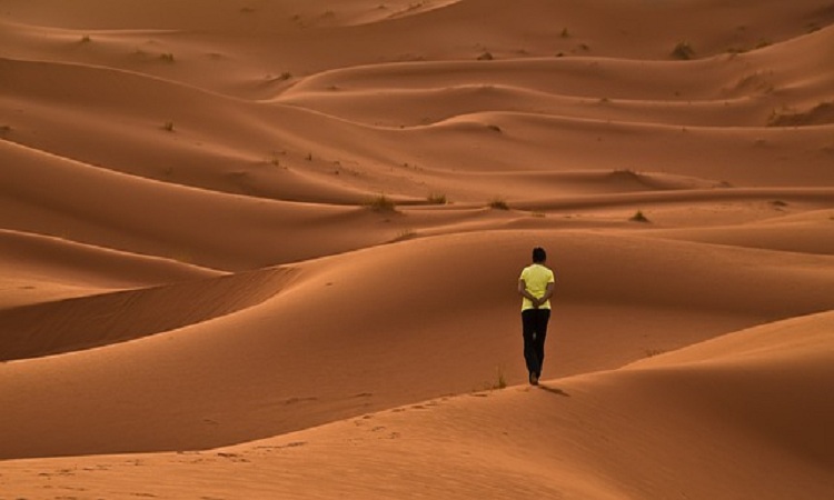 Le désert de dunes de sable en Tunisie est un trésor naturel incroyable qui ne cesse de fasciner les voyageurs du monde entier. Dans cet article, nous allons explorer cette merveille naturelle et vous donner des raisons convaincantes de choisir la Tunisie comme votre prochaine destination de voyage. Préparez-vous à être émerveillé par la beauté brute et la diversité de ce désert unique. Les Dunes de Sable Tunisiennes : Une Merveille Naturelle Situé au nord de l'Afrique, le désert tunisien est l'un des endroits les plus emblématiques de la planète. Les vastes étendues de dunes de sable, qui s'étendent à perte de vue, créent un paysage à couper le souffle. Les dunes, façonnées par le vent au fil des siècles, offrent un tableau spectaculaire de montagnes de sable doré. Explorez le Désert en Navette en Tunisie L'une des meilleures façons de découvrir le désert de dunes de sable en Tunisie est de prendre une navette spécialement conçue pour les excursions dans le désert. Ces navettes vous emmènent dans les coins les plus reculés du désert, où vous pourrez admirer des panoramas inoubliables. Vous n'avez pas besoin d'être un aventurier chevronné pour profiter de cette expérience, car les guides locaux expérimentés veilleront à votre sécurité tout au long de l'excursion. Une Aventure Inoubliable Lorsque vous voyagez dans le désert tunisien, préparez-vous à vivre une aventure inoubliable. Les excursions en navette vous permettent de découvrir des oasis cachées, des villages traditionnels et la culture fascinante des Bédouins. Vous pourrez même passer la nuit sous les étoiles dans des camps désertiques, goûter à la cuisine locale et apprendre les coutumes uniques de cette région. Pourquoi Choisir la Tunisie ? La Tunisie offre une expérience unique pour les voyageurs en quête d'aventure et de découverte. Voici quelques raisons pour lesquelles vous devriez envisager de visiter le désert de dunes de sable en Tunisie : 1. Paysages À Couper le Souffle Le désert tunisien est un spectacle à voir. Les dunes de sable géantes, les formations rocheuses intrigantes et les vastes étendues de sable offrent des paysages à couper le souffle qui resteront gravés dans votre mémoire. 2. Culture Fascinante Rencontrez les Bédouins locaux et découvrez leur mode de vie traditionnel. Vous aurez l'occasion de participer à des cérémonies et de découvrir les coutumes locales. 3. Aventure et Excitation Les excursions en navette dans le désert vous offrent une dose d'adrénaline tout en garantissant votre sécurité. Explorez des terrains variés et faites l'expérience de sensations fortes. 4. Nuits Étoilées Magiques Dormir sous un ciel étoilé dans le désert est une expérience magique. Les nuits tranquilles et les étoiles scintillantes vous transporteront dans un autre monde. Le désert de dunes de sable en Tunisie est une destination de voyage unique qui offre une expérience inoubliable. Que vous soyez un amoureux de la nature, un aventurier ou simplement en quête de découvertes culturelles, la Tunisie a quelque chose à offrir à tout le monde. Ne manquez pas l'occasion de vivre une aventure exceptionnelle dans l'un des endroits les plus captivants de la planète. Planifiez votre voyage dès maintenant et découvrez la magie du désert tunisien en réservant une excursion en navette. C'est une aventure que vous chérirez pour le reste de votre vie.