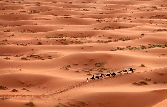 Voyager dans le désert du Sahara tunisien est une expérience unique qui peut vous transporter dans un autre monde. Pour vivre cette aventure inoubliable, rien de tel que de le faire à dos de chameau, en empruntant les services de Navette Tunisie. Dans cet article, nous allons explorer les merveilles du désert, les joies de monter à dos de chameau, et comment Navette Tunisie peut rendre ce voyage encore plus mémorable. Découvrir le Sahara Tunisien Le Sahara tunisien est un vaste territoire de dunes de sable doré, d'oasis luxuriantes et de paysages à couper le souffle. Pour les amateurs d'aventure, c'est un rêve devenu réalité. La région regorge de trésors naturels, de la Grande Mer de Sable aux montagnes du Matmata. Mais comment explorer efficacement ces étendues sahariennes ? La réponse réside dans une expérience authentique à dos de chameau. La Magie de Monter à Dos de Chameau Monter à dos de chameau est bien plus qu'un simple moyen de transport. C'est une aventure en soi. Les chameaux, surnommés "les navettes du désert", sont des créatures fascinantes. Leurs pas lents et écuries vous permettent d'absorber pleinement la beauté du désert et de vous connecter à la nature de manière profonde. Vous vous retrouverez comme un explorateur du passé, vivant une expérience vieille de milliers d'années. Navette Tunisie : Votre Guide dans le Désert Pour rendre cette aventure encore plus mémorable, faire appel à Navette Tunisie est une décision judicieuse. L'entreprise est spécialisée dans l'organisation de voyages à dos de chameau dans le Sahara tunisien. Leurs guides expérimentés vous accompagneront tout au long de votre voyage, veillant à ce que vous tiriez le meilleur parti de chaque instant. Commentaire Réserver Votre Aventure La réservation de votre voyage avec Navette Tunisie est simple. Visitez leur site web, parcourez les différentes options de voyage et choisissez celle qui correspond le mieux à vos préférences. Vous aurez la possibilité de personnaliser votre itinéraire, que vous souhaitiez explorer les dunes de sable, les oasis verdoyantes ou les villages sahariens traditionnels. Préparer Votre Aventure Avant de vous aventurier dans le désert, assurez-vous d'être bien préparé. Apportez des vêtements adaptés au climat désertique, de l'eau en quantité suffisante, et une bonne dose d'aventure. Soyez prêt à vivre une expérience inoubliable, à la rencontre de la culture, de la nature et de la magie du Sahara tunisien. L'exploration du désert du Sahara tunisien à dos de chameau avec Navette Tunisie est une expérience que vous chérirez à jamais. C'est une aventure qui vous plongera au cœur de la beauté naturelle et de la culture de la Tunisie. Alors, préparez-vous à vivre des moments inoubliables et à créer des souvenirs qui dureront toute une vie.