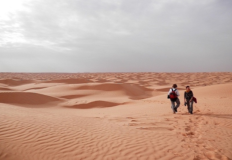 Vous êtes prêt pour une aventure extraordinaire dans le désert tunisien ? Avec www.navettetunisie.net, plongez au cœur de paysages époustouflants, entre Gabès, Matmata, Douz, Toujene, Kebelli, Souk Lahad, Chott el Jerid, Tozeur, Chebika, Tamaghza, et le célèbre décor Star Wars. Suivez-nous pour une expérience unique, mêlant le charme du désert, la richesse culturelle et le confort d'une Excursion Sud Tunisie inoubliable. Explorer le Sahara Tunisien : Un Rêve Réalité Avec www.navettetunisie.net, votre circuit démarre par la découverte du désert tunisien, où chaque grain de sable raconte une histoire. De Gabès à Matmata, laissez-vous emporter par la magie des dunes dorées et des oasis verdoyantes. Notre Excursion Sud Tunisie vous offre une plongée immersive au cœur de la beauté saharienne, loin de l'agitation quotidienne. Les Incontournables : Matmata, Douz, Tozeur À Matmata, explorez les habitations troglodytes qui ont servi de décors à des films légendaires tels que Star Wars. À Douz, la "porte du désert", vibrez au rythme des traditions nomades et participez à des festivités locales. Puis, laissez-vous charmer par les oasis de Tozeur, où le Chott el Jerid, lac salé, crée un tableau saisissant au coucher du soleil. Décor Star Wars : Entre Réalité et Fiction Pour les amateurs de Star Wars, notre circuit vous plonge dans les décors authentiques ayant accueilli les aventures intergalactiques. De Chebika à Tamaghza, imprégnez-vous de l'atmosphère magique qui a inspiré les réalisateurs. Chaque coin de ce désert tunisien devient une toile vivante, où le coucher de soleil offre un spectacle digne des films de science-fiction. Confort et Facilité avec www.navettetunisie.net Nous comprenons que votre expérience dépend de notre engagement envers votre confort. Avec www.navettetunisie.net, notre service de navette assure un trajet sans souci, vous permettant de vous concentrer pleinement sur les merveilles qui vous entourent. De Gabès à Tozeur, chaque étape est soigneusement planifiée pour vous offrir une Excursion Sud Tunisie mémorable. Réservez Votre Place pour une Aventure Inoubliable ! Prêt à vivre une expérience unique dans le Sahara tunisien ? Réservez votre place dès aujourd'hui avec www.navettetunisie.net. Ne manquez pas l'opportunité de découvrir le désert tunisien d'une manière qui dépasse vos rêves les plus fous. Embarquez avec nous pour une escapade exceptionnelle au cœur de la Tunisie.