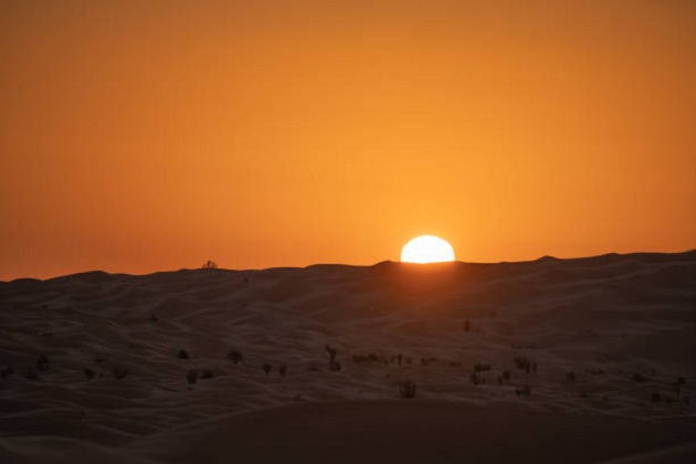 Une Aventure Inoubliable : Coucher de Soleil sur les Dunes de Sable en 4x4 avec Navette en Tunisie Si vous rêvez de vivre une expérience exceptionnelle, nous avons la proposition parfaite : un coucher de soleil sur les majestueuses dunes de sable en Tunisie, le tout en 4x4 avec une navette pour vous emmener dans ce voyage inoubliable. L'Excitation d'un Safari en 4x4 Imaginez-vous à bord d'un robuste véhicule tout-terrain, prêt à défier les dunes de sable du désert tunisien. Le moteur vrombit, et l'aventure commence. Vous êtes prêt à explorer les paysages époustouflants que le sud de la Tunisie a à offrir. Les Dunes de Sable, un Spectacle Naturel Les dunes de sable qui s'étendent à perte de vue sont un spectacle naturel qui évoque l'immensité et la beauté brute de la nature. Les couleurs chaudes du sable se transforment au gré de la lumière du soleil, créant des nuances magnifiques que vous ne verrez nulle part ailleurs .Le Coucher de Soleil Magique Le moment tant attendu approche. Le soleil commence sa descente vers l'horizon, projetant une lueur dorée sur le désert. Les dunes de sable deviennent des ombres ondulantes, et le ciel s'embrase de couleurs éblouissantes. C'est un spectacle que vous n'oublierez jamais. La Navette, Votre Alliée Le confort de votre expérience est notre priorité. Une navette spécialisée vous emmène depuis votre lieu de séjour jusqu'au point de départ de l'excursion. Vous n'avez qu'à vous détendre et à vous préparer pour cette aventure exceptionnelle. Vivre un coucher de soleil sur les dunes de sable en Tunisie est une expérience qui vous transporte dans un autre monde, au cœur de la nature. Que vous soyez un amateur de sensations fortes, un amoureux de la photographie ou simplement en quête de beauté naturelle, cette expérience a tout pour plaire.Réservez votre aventure en 4x4 avec navette pour un coucher de soleil inoubliable sur les dunes de sable en Tunisie. C'est l'occasion parfaite de vivre un moment magique au contact de la nature.