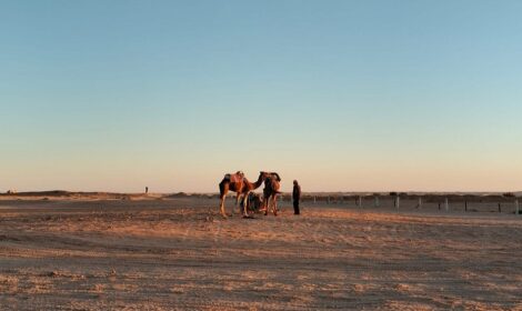 Circuit Désert en Tunisie : Votre Aventure Inoubliable dans le Sahara Tunisien