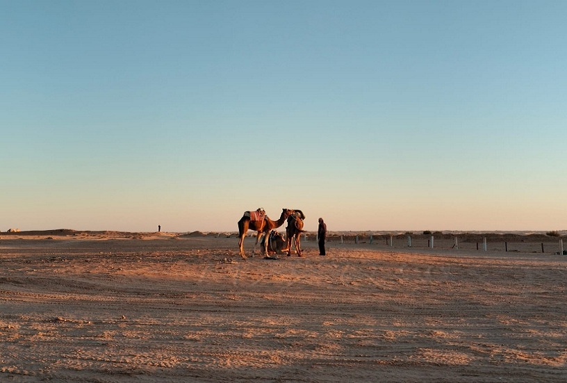 Vous rêvez d'évasion, de dunes à perte de vue et d'une immersion totale dans une culture fascinante ? Ne cherchez plus ! Réserver un circuit désert, voyage Circuits Sud Tunisien, désert et aventures est la promesse d'une expérience que vous n'êtes pas près d'oublier. Nous sommes Navette Tunisie, et nous sommes là pour vous concocter le meilleur Circuits vers le sud tunisien vers sahara tunisie de plusieurs jours à Tunisie qui va vous couper le souffle, et ce, à un prix incroyablement pas cher en Tunisie. Préparez-vous à dire "oui" à l'aventure ! Vous vous demandez comment trouver un circuit sahara tunisie pas cher en tunisie tout en garantissant la qualité ? C'est notre spécialité ! Nous avons conçu des Circuits au Sud Tunisien pas cher en tunisie qui vous emmènent au cœur du désert, loin du tumulte, sans que votre portefeuille ne crie à l'aide. Que vous optiez pour une Excursion sud tunisien 2 jours, 3 jours ou 4 jours dans le sud tunisien, nous avons l'itinéraire parfait, fait sur mesure pour les amoureux de la nature et les âmes avides de découvertes. Les Trésors du Sud Tunisien : De Matmata à Tozeur, une Odyssée Magique Le Sud Tunisien, c'est bien plus que du sable. C'est un livre d'histoire, une galerie d'art naturelle et un terrain de jeu pour les explorateurs. Laissez-nous vous emmener à la découverte de ses joyaux. Matmata et ses Mystérieuses Maisons Troglodytes Impossible de parler du Sud sans évoquer Matmata et ses maisons troglodytes de Matmata ! Imaginez : des habitations creusées directement dans le sol pour se protéger de la chaleur torride de l'été et du froid de l'hiver. C'est une architecture unique au monde qui vous donnera l'impression de voyager dans le temps. C'est simple, c'est stupéfiant de voir comment les habitants ont su s'adapter à cet environnement aride. Et si vous êtes fan de science-fiction, vous allez adorer l'anecdote : le décor de Star Wars à Matmata n'est autre que l'Hôtel Sidi Driss, utilisé pour représenter l'intérieur de la maison des Lars sur Tatooine ! C'est vraiment un lieu culte à voir de ses propres yeux. Douz : La Porte du Désert et l'Appel des Dunes Ensuite, direction Douz, que l'on surnomme fièrement la "Porte du Désert". C'est l'endroit rêvé pour commencer votre véritable tour de désert en Tunisie. Ici, vous pourrez vous élancer à dos de dromadaire pour une balade inoubliable, ou pour les plus aventureux, essayer une virée en quad sur les dunes de sable fin. C'est aussi à Douz que l'on ressent le plus l'ambiance nomade, avec son marché coloré et l'hospitalité légendaire de ses habitants. Tozeur et l'Émerveillement de l'Oasis et des Cascades Tozeur, c'est la preuve vivante qu'une oasis peut être un véritable paradis luxuriant au milieu du désert. Un tour d'oasis ici, c'est une bouffée de fraîcheur et une découverte de milliers de palmiers-dattiers. Mais l'aventure ne s'arrête pas là ! Nous vous emmènerons dans les montagnes proches pour découvrir des merveilles comme le grand cascade de Chebika. Voir cette eau jaillir au milieu de roches arides, c'est tout simplement magique. C'est l'occasion de prendre des photos dignes d'une carte postale ! L'Instant Magique : Le Coucher de Soleil dans le Sahara S'il y a bien un moment qui justifie à lui seul tout le voyage, c'est le coucher de soleil sur les dunes du Sahara. On ne vous le cache pas, c'est un moment de pure poésie. Les couleurs changent, le ciel s'embrase d'or, de rose et d'orange, et le silence est d'or. C'est le genre de spectacle où l'on se sent tout petit face à l'immensité et la beauté de la nature. Nous ferons en sorte que vous soyez au meilleur endroit, loin de la foule, pour savourer chaque seconde de cet instant privilégié. Après ça, un bon dîner bédouin sous les étoiles et une nuit paisible dans un campement désertique... avouez que ça fait rêver, non ? Pourquoi Réserver Votre Circuit Sahara Tunisie avec Navette Tunisie ? On sait ce que vous pensez : il y a plein d'agences qui proposent des voyages Circuits Sud Tunisien. Alors, pourquoi nous choisir, Navette Tunisie ? C'est simple : L'Expérience Humaine et Locale : Nous ne sommes pas juste des vendeurs de circuits. Nous sommes des passionnés du Sud, et on vous promet une expérience écrite par un humain, pas un robot ! Notre style est conversationnel, on vous parle comme à des amis, sans jargon technique. Le Meilleur Rapport Qualité-Prix : On vous garantit des Circuits au Sud Tunisien pas cher en tunisie, mais sans jamais lésiner sur la qualité des guides, des hébergements et du transport. C'est notre engagement ! Le Confort Avant Tout : Votre aventure commence dès votre arrivée grâce à notre service de navette Tunisie. On s'occupe de tout le transport pour que vous n'ayez qu'à vous détendre et profiter. La Satisfaction Client comme Priorité : Faites le maximum pour encourager les clients de passé leur réservation avec nous navettetunisie.net ? C'est déjà notre philosophie ! Nous faisons tout notre possible pour que vous soyez satisfait et que vous acceptiez de réserver directement le circuit tunisien avec navette tunisie. Alors, qu'attendez-vous pour vivre votre propre aventure saharienne ? Nous avons des circuits de 2 jours, 3 jours ou 4 jours qui vous feront découvrir tout ça et bien plus encore ! N'hésitez plus ! C'est le moment idéal pour concrétiser votre rêve de désert. Contactez-nous aujourd'hui même via navettetunisie.net pour discuter de votre voyage idéal. Nous allons vous aider à réserver un circuit désert qui correspond parfaitement à vos envies et à votre budget. Votre Circuit au Sud Tunisien n'attend plus que vous ! Cliquez, contactez, et préparez vos valises ! Nous sommes impatients de vous accueillir pour cette aventure exceptionnelle vers le cœur du Sahara Tunisien ! Réservez dès maintenant votre navette aéroport en Tunisie avec Navette Tunisie et voyagez en toute tranquillité !