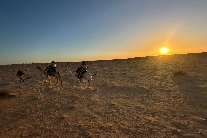 Vivez une aventure inoubliable dans le désert tunisien avec NavetteTunisie. Nous proposons des circuits sud Tunisie pas chers, combinant découverte, confort et activités uniques. Que vous rêviez d’une méharée à dos de chameau, d’un safari en 4x4 dans les dunes ou d’une nuit sous les étoiles, nous avons le circuit idéal pour vous. Avec notre chauffeur privé et transport personnalisé, vous explorez le Sahara en toute sérénité, à votre rythme, et profitez pleinement de chaque instant. Matmata : immersion authentique dans les maisons troglodytes Débutez votre voyage par Matmata, célèbre pour ses maisons troglodytes creusées dans la roche. Ces habitations traditionnelles offrent une immersion unique dans la culture saharienne et permettent de découvrir la vie locale loin des circuits classiques. Les passionnés de cinéma seront ravis : certaines scènes de Star Wars y ont été tournées. Avec notre chauffeur privé, explorez Matmata à votre rythme, prenez des photos exceptionnelles et vivez une expérience authentique. Douz : porte du Sahara et activités aventure Douz, la “porte du désert”, est le point de départ idéal pour vos aventures dans le Sahara tunisien : Balade à dos de chameau au coucher du soleil Excursion 4x4 dans les dunes Quad et buggy dans le désert tunisien Randonnée et trekking saharien Notre équipe vous accompagne pour une expérience sécurisée et mémorable, avec un guide et chauffeur expérimenté. Tozeur et Chott El Jerid : oasis et paysages féériques À Tozeur, explorez sa palmeraie unique et continuez vers le Chott El Jerid, un lac salé où le coucher de soleil crée des paysages incroyables. Tozeur a également servi de décor à Star Wars, pour une touche cinématographique magique. Avec notre transport privé et guide dédié, profitez pleinement de chaque étape de votre circuit. Chebika : cascade et oasis naturelle Sur la route vers le désert, faites une halte à Chebika, célèbre pour sa cascade et ses gorges impressionnantes. Cette oasis contraste avec le désert environnant et offre un cadre idéal pour randonnées et photos. Avec notre chauffeur privé, vous explorez Chebika en toute tranquillité et profitez de ce lieu unique. Ksar Ghilane : bivouac et nuit magique dans le désert À Ksar Ghilane, vivez une nuit inoubliable dans le désert tunisien : Tente berbère traditionnelle Dîner sous les étoiles Lever et coucher de soleil sur les dunes Méharée à dos de chameau Choisissez entre campement authentique ou séjour luxe dans le désert tunisien pour une expérience sur mesure. Tataouine : paysages lunaires et culture saharienne Découvrez Tataouine, célèbre pour ses villages traditionnels et paysages désertiques uniques. Explorez les ksour et habitations typiques avec notre chauffeur privé, qui vous accompagne pour visiter la région en toute sécurité et liberté. Activités et circuits sur mesure dans le Sahara tunisien Avec NavetteTunisie, votre séjour peut inclure : Excursion 4x4 dans le désert tunisien Safari et trekking dans le Sahara Tour en quad ou buggy Méharée à dos de chameau Camping et bivouac dans le désert Découverte des oasis et villages troglodytes Nos circuits de 2, 3 ou 4 jours sont conçus pour offrir le meilleur du sud tunisien à prix abordable, tout en garantissant confort et sécurité. Transport privé et guide : voyagez l’esprit tranquille Nous mettons à votre disposition : Chauffeur privé pendant tout le séjour Véhicules climatisés et confortables Organisation complète des excursions Assistance permanente sur place Avec NavetteTunisie, vous profitez pleinement de l’aventure dans le désert tunisien, sans souci logistique. Réservez votre circuit Sahara Tunisie dès maintenant Avec NavetteTunisie, bénéficiez de : Circuits sud Tunisie pas chers et personnalisés Hébergement sélectionné et confortable Guide et chauffeur privé disponibles Réservation facile sur navettetunisie.net Pour une excursion Sahara Tunisie, un séjour dans le désert pas cher, ou un circuit sud tunisien sur mesure, réservez dès aujourd’hui avec NavetteTunisie et vivez l’expérience unique du Sahara tunisien. CLIQUEZ ICI POUR RÉSERVER VOTRE CIRCUIT DÈS MAINTENANT SUR NAVETTETUNISIE.NET