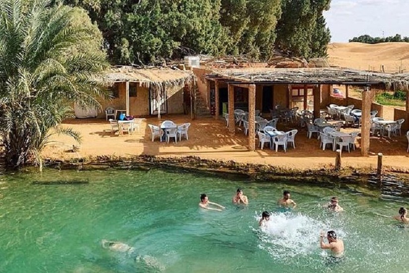 Nous vous invitons à vivre une aventure inoubliable dans le sud tunisien, là où le Sahara s’étend à perte de vue, où le silence du désert apaise l’esprit et où chaque lever de soleil devient un souvenir gravé à jamais. Avec NavetteTunisie.net, nous avons imaginé des circuits Sahara Tunisie pas chers, confortables et entièrement personnalisés, pour que votre voyage commence dès la sortie de l’avion et se déroule en toute sérénité. Notre promesse est simple : vous faire découvrir le désert tunisien autrement, avec des chauffeurs professionnels, un transport privé sécurisé, des tarifs abordables et un accompagnement humain du début à la fin. Pourquoi choisir un circuit Sahara Tunisie avec NavetteTunisie.net ? Nous savons que vous cherchez le meilleur rapport qualité-prix sans compromis sur la sécurité ni le confort. C’est exactement ce que nous proposons. Nos circuits vers le sud tunisien sont pensés pour tous les profils : couples, familles, groupes d’amis ou voyageurs en solo. Circuits désert Tunisie pas chers (2, 3 ou 4 jours) Transport privé en 4x4 climatisé Chauffeur dédié tout au long du séjour Hébergements au choix : campement saharien, tente berbère, hôtel dans le désert Activités authentiques : dromadaire, quad, buggy, safari désert Nous vous conseillons toujours le meilleur itinéraire, en fonction de vos envies et de votre budget, avec un suivi constant pour garantir votre confort et votre sécurité. Matmata : les maisons troglodytes et l’âme berbère La Matmata est l’un des joyaux du sud. Connue pour ses maisons troglodytes, creusées directement dans la roche, elle offre une immersion totale dans la culture berbère. En visitant Matmata avec nous, vous découvrez : Des habitations traditionnelles encore habitées Un mode de vie authentique et chaleureux Les décors mythiques de Star Wars, qui ont rendu le lieu célèbre dans le monde entier Notre chauffeur vous accompagne, prend le temps d’expliquer, s’arrête quand vous le souhaitez et veille toujours à votre confort. Douz, la porte du Sahara et les grandes dunes dorées La Douz, surnommée la porte du désert, est une étape incontournable. Ici commence la vraie aventure saharienne. À Douz, nous vous proposons : Balade à dos de chameau au coucher du soleil Quad et buggy dans le désert Safari désert Tunisie en 4x4 Dunes spectaculaires pour des photos inoubliables C’est aussi à Douz que l’on ressent pleinement la magie du Sahara tunisien, surtout lorsque le soleil embrase les dunes à l’horizon. Tozeur, Chott El Djérid et les oasis de montagne La Tozeur séduit par ses palmeraies et son architecture unique. Sur la route, vous traversez le mythique Chott El Djérid, un immense lac salé aux reflets irréels. Nous vous emmenons ensuite vers : Chebika, célèbre pour sa grande cascade Les oasis de montagne de Tamerza et Midès Un tour d’oasis rafraîchissant et dépaysant Ces paysages contrastés font partie des plus beaux du sud tunisien. Ksar Ghilane : oasis, sources chaudes et nuit dans le désert Ksar Ghilane : oasis, sources chaudes et nuit dans le désert séjour luxe désert Tunisie, avec campement haut de gamme Hébergements au choix : campement saharien, tente berbère, hôtel dans le désert 4 L’Ksar Ghilane est une oasis mythique, nichée au cœur du désert. On s’y baigne dans une source chaude naturelle, entourée de palmiers et de sable à perte de vue. Nous organisons pour vous : Nuit dans le désert Tunisie Bivouac Sahara Tunisie Dîner sous les étoiles Lever de soleil magique sur les dunes Pour plus de confort, nous proposons aussi un séjour luxe désert Tunisie, avec campement haut de gamme, literie confortable et service soigné. Un chauffeur privé attentif et un transport sécurisé Avec NavetteTunisie.net, votre chauffeur privé est bien plus qu’un conducteur. Il : Connaît parfaitement le Sahara tunisien Adapte le rythme de la visite à vos besoins Assure votre sécurité à chaque instant Vous accompagne avec respect, discrétion et professionnalisme Nous mettons à votre disposition un transport privé vers le désert, depuis l’aéroport ou votre hôtel, et un chauffeur dédié pendant tout votre séjour en Tunisie. Réservez votre circuit désert Tunisie dès maintenant Si vous rêvez d’un circuit sud tunisien pas cher, d’une aventure authentique dans le Sahara, d’un voyage organisé et sécurisé, alors NavetteTunisie.net est votre meilleur choix. Réservez votre excursion désert Tunisie dès aujourd’hui Contactez-nous 48h à l’avance pour garantir la disponibilité Profitez de tarifs abordables, d’un service sur mesure et d’un suivi personnalisé Avec nous, vos vacances commencent dès la sortie de l’avion. Faites confiance à NavetteTunisie.net, et laissez-nous vous faire découvrir le sud tunisien et le Sahara comme vous ne l’avez jamais vu. CLIQUEZ ICI POUR RÉSERVER VOTRE CIRCUIT DÈS MAINTENANT SUR NAVETTETUNISIE.NET