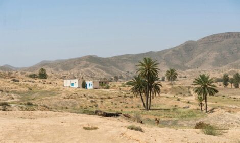 Votre Circuit Sud Tunisie Pas Cher : Vivez l&rsquo;Aventure Saharienne avec NavetteTunisie