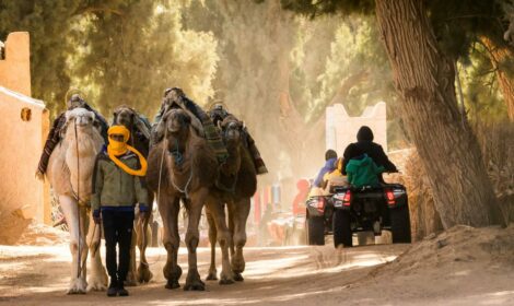 Circuit Sud Tunisie Pas Cher : Adrénaline en Quad et Magie à Dos de Chameau avec NavetteTunisie