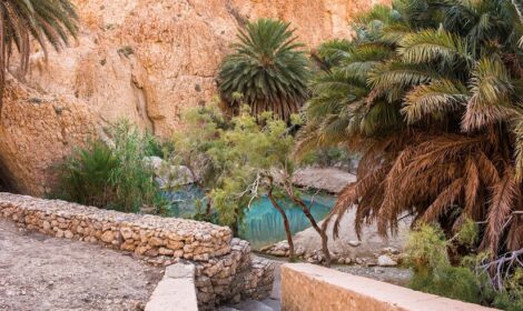 Promo Exclusive : Votre Circuit Sud Tunisie Pas Cher – Vivez l&rsquo;Aventure Saharienne