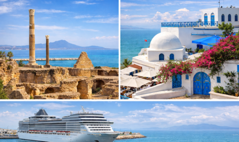 La Goulette Shore Excursion : Découvrez Carthage et Sidi Bou Saïd depuis le port de croisière de Tunis